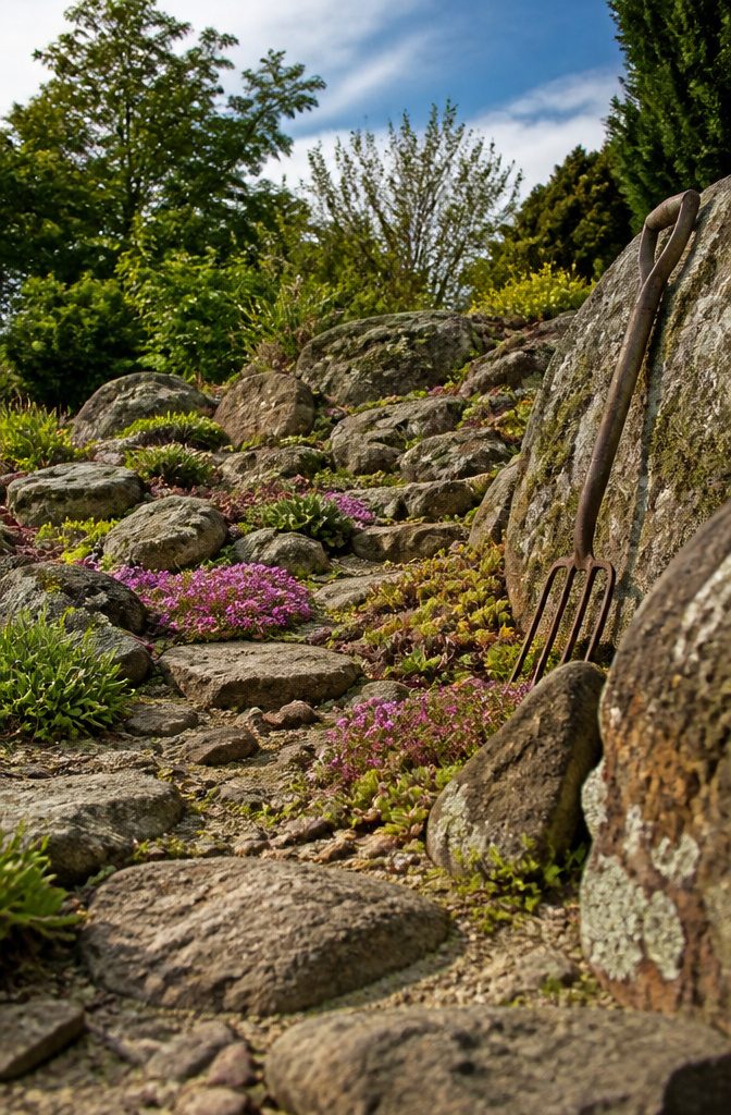 Rock garden with stones and drought-tolerant alpine plants.