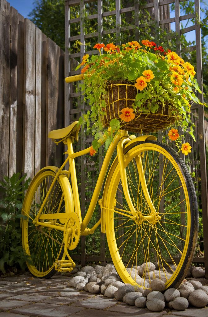 A bicycle frame painted yellow, holding plants in a basket.