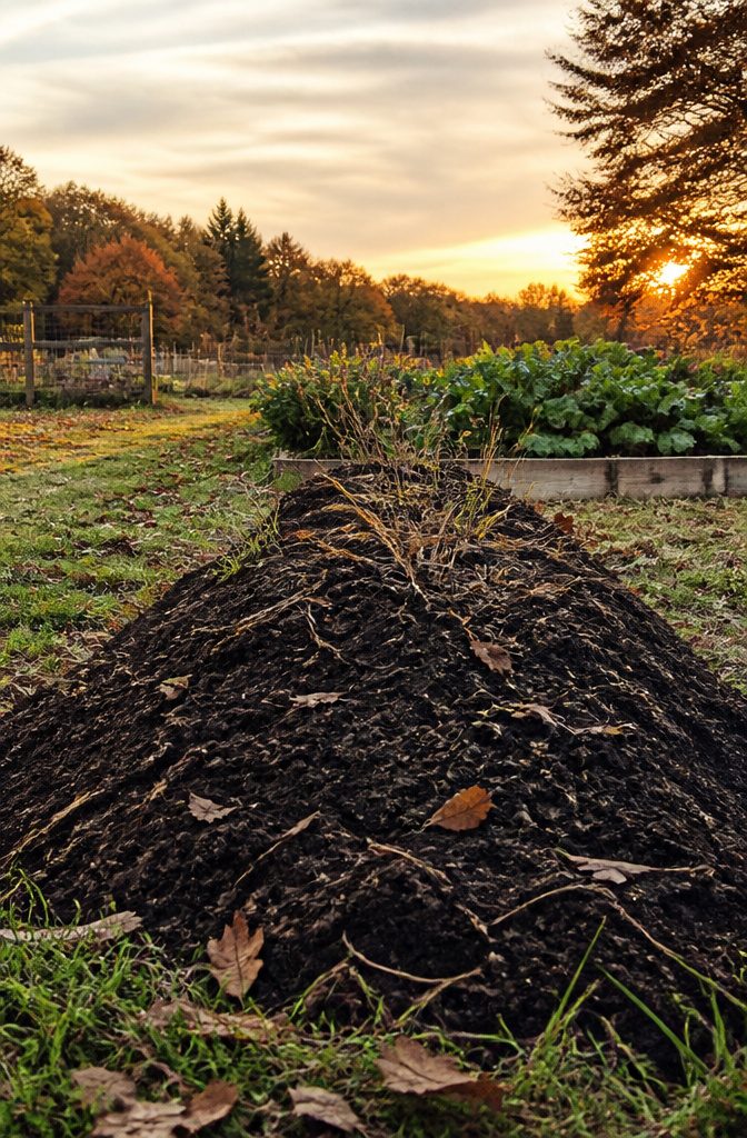 Build a Beetle Bank or Bump for Your Garden: 6 Steps 8 A newly built beetle bank in autumn with rich soil and grasses.