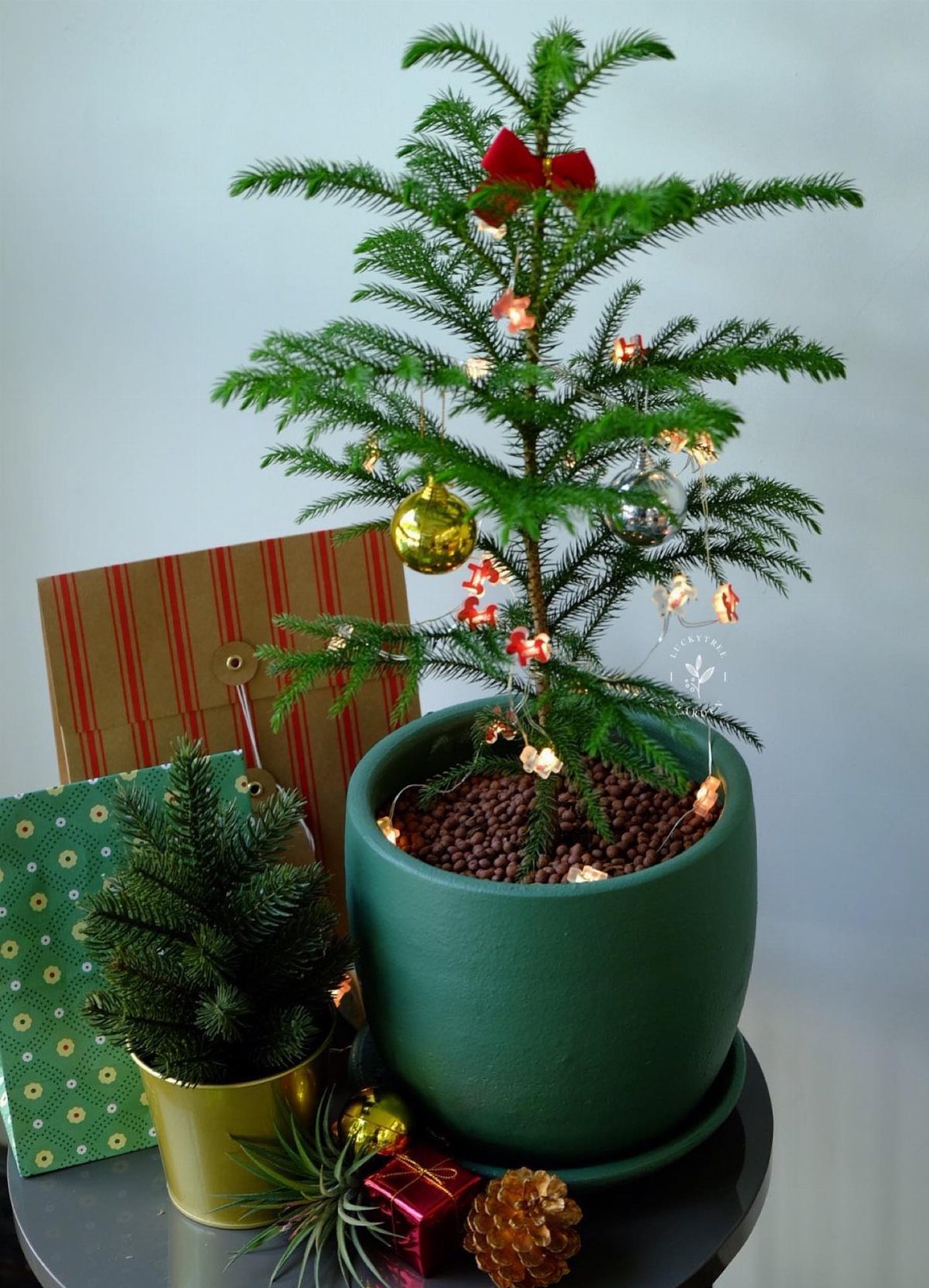 Decorated small evergreen tree in a green pot with gifts and ornaments.