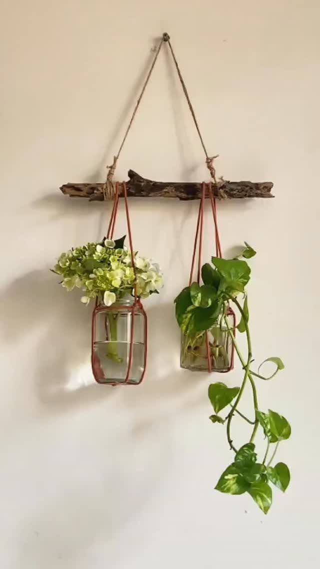 Two small houseplants in glass jars hanging from a rustic wooden branch.
