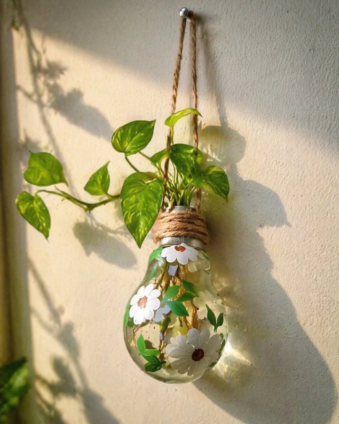 Small green plant in a lightbulb vase decorated with painted white daisies hanging outdoors