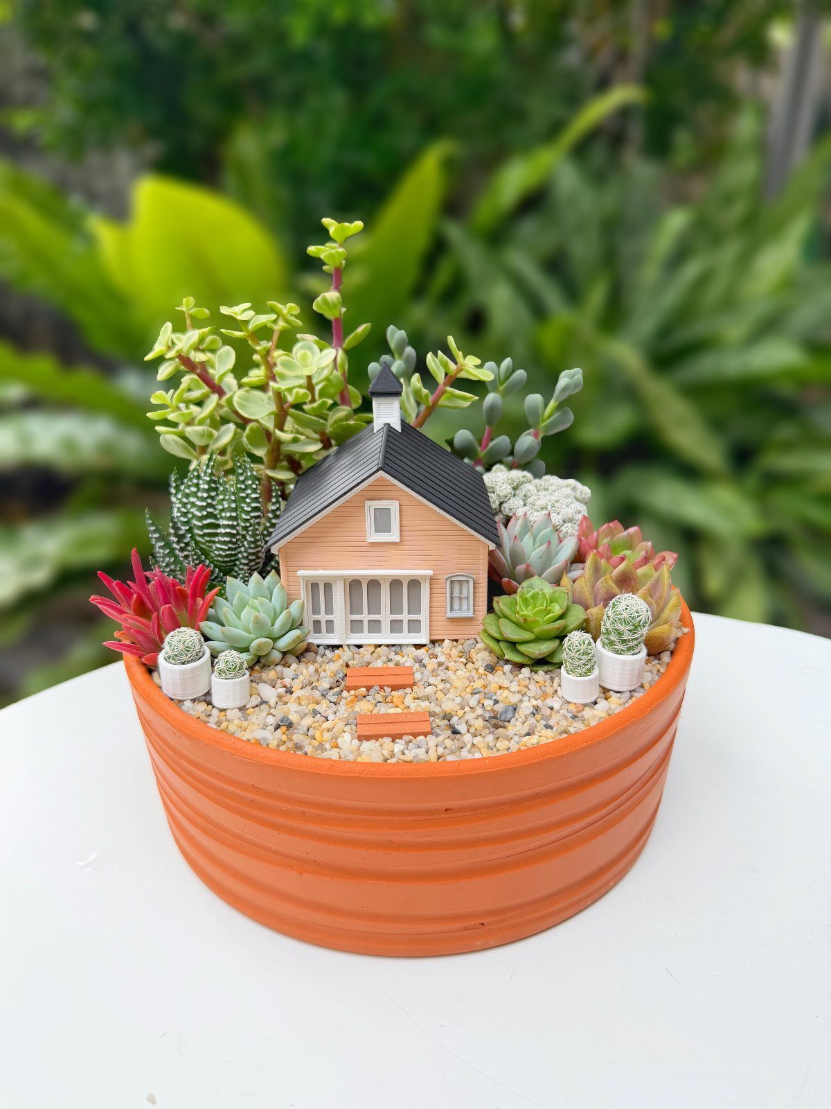 Miniature house surrounded by various succulents and cacti in a terracotta pot.