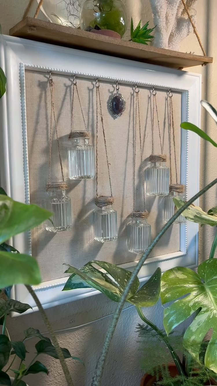 Small glass jars hanging from a white frame used as a propagation station.