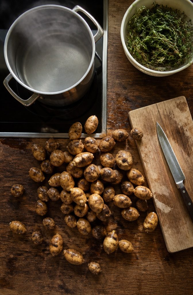 Growing American Groundnuts: Planting, Care and Harvest 7 Plated dish with cooked American groundnut tubers ready for serving.