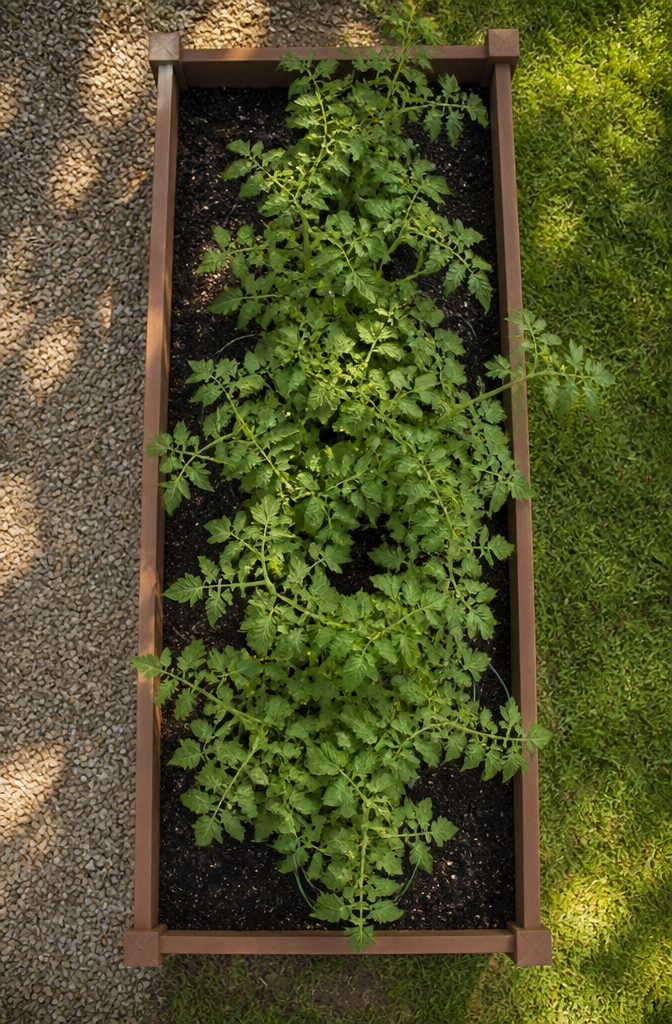 12 Inexpensive Raised Garden Bed Ideas for 2026 15 Illustration of a properly sized raised garden bed.
