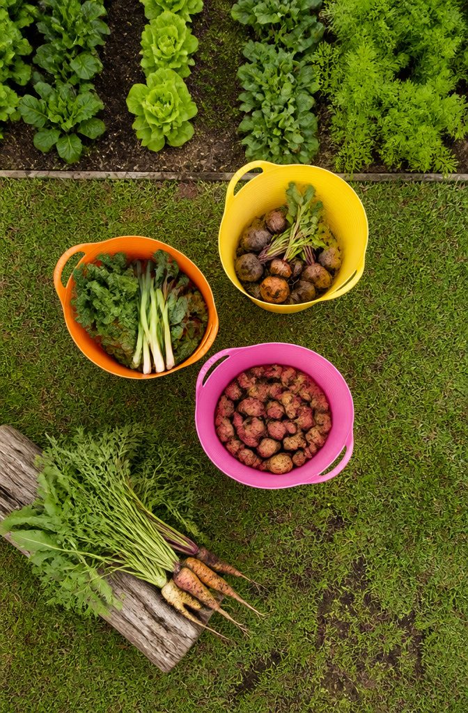 A Tubtrug in a garden, showing its flexibility and shape-holding design.