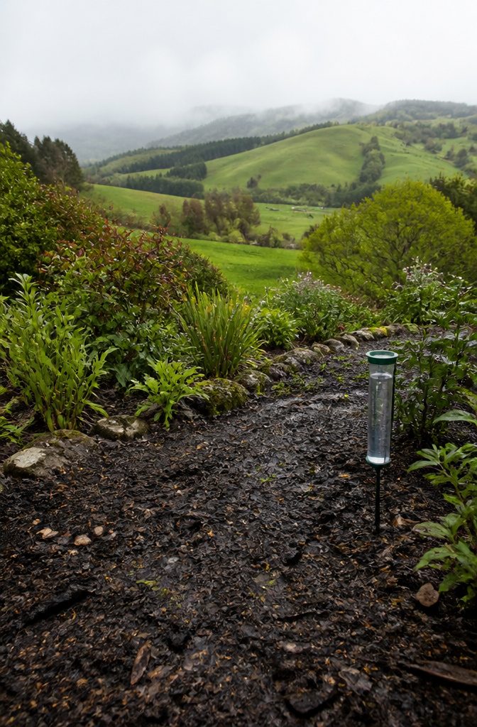 Soil pH and Why It Matters: What Controls Plant Nutrition 9 An image depicting the effects of rain on soil pH in various regions.