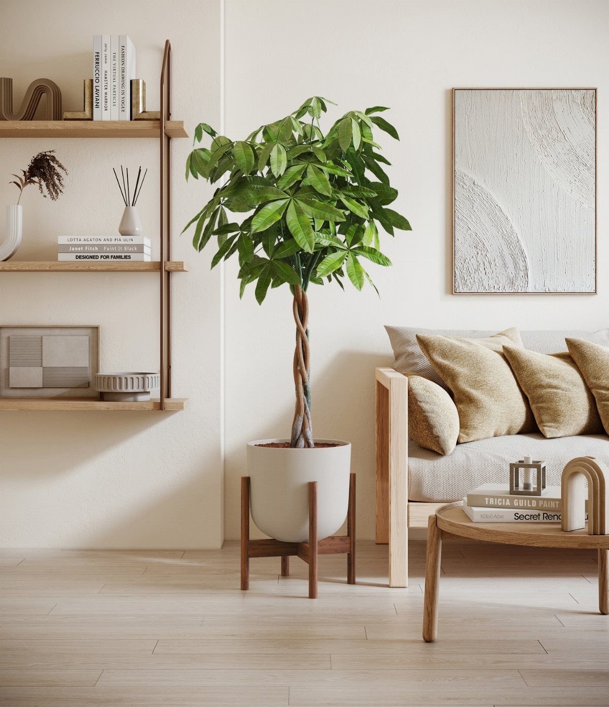 10 of the Coolest Houseplants for Your Space 10 Money Tree with braided trunk in a white pot within a modern living room.