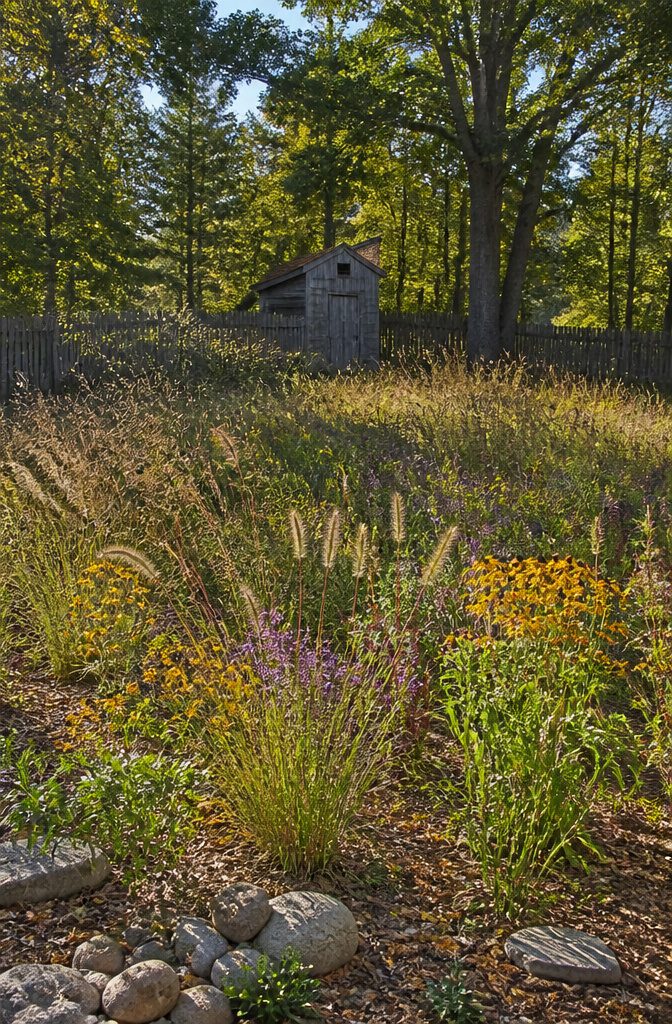 Wildlife Garden Project: 15 Practical Ideas for 2026 11 A wildflower meadow growing in a previously mowed lawn area.