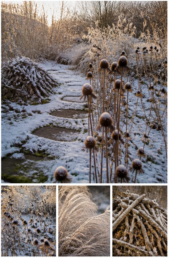 Wildlife Garden Project: 15 Practical Ideas for 2026 19 Tall plants left standing in a garden during winter.