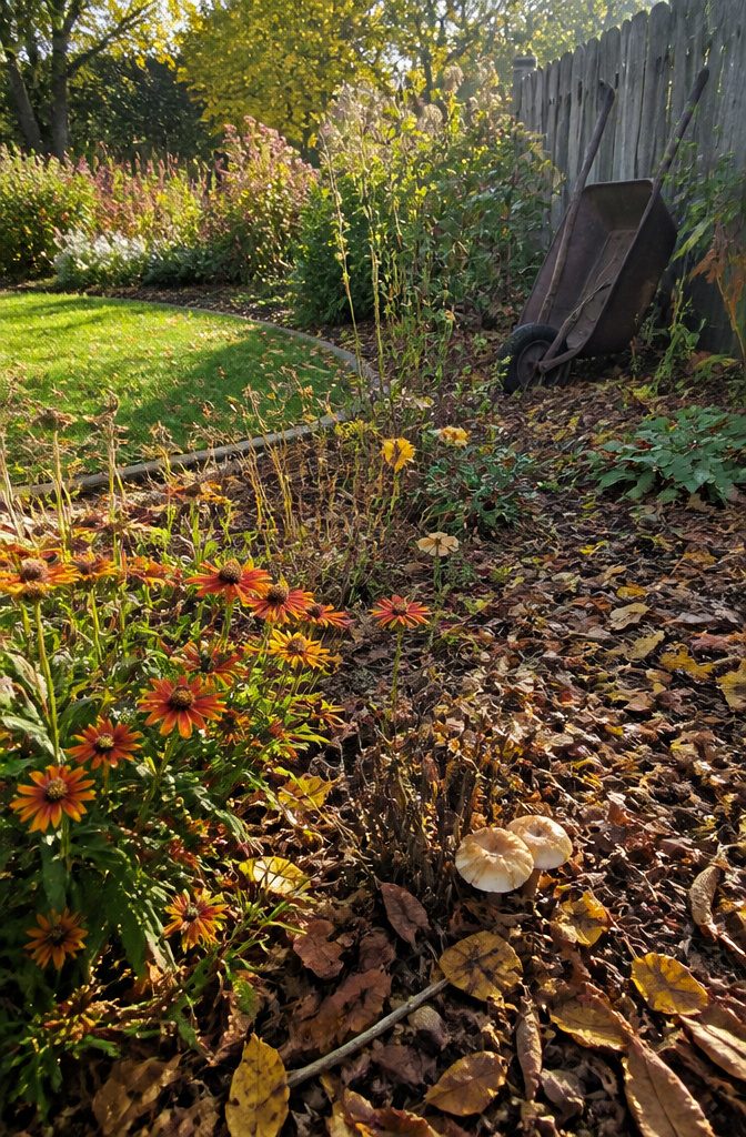 Wildlife Garden Project: 15 Practical Ideas for 2026 13 A garden area blanketed with a rich layer of fallen leaves.