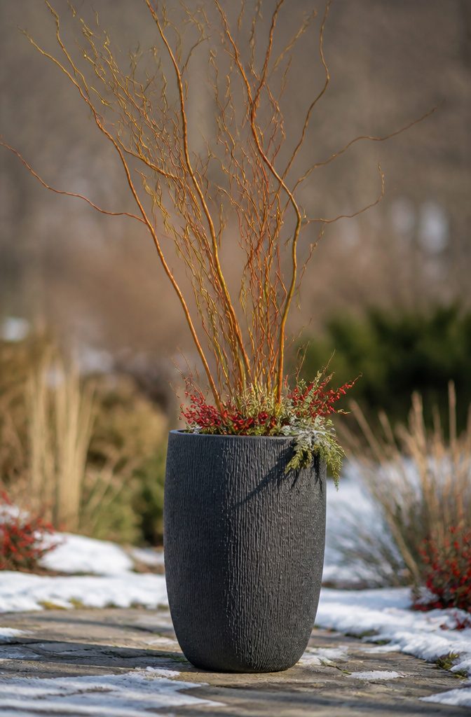 A container featuring curly willow branches with a corkscrew shape.